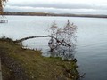 Западная часть озера Увильды