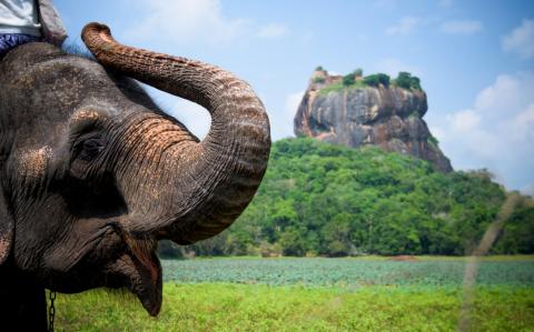 Шри-Ланка – легендарный «Цейлон» открыт для каждого