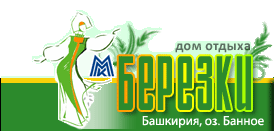 berezki-logo.gif