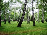 Досуг на базе отдыха «Лазурный берег»