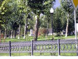 Фотографии