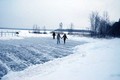 Фотогалерея дома отдыха Звездный