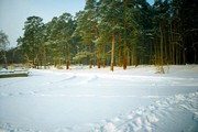 База отдыха «Волшебный городок». Фотографии территории